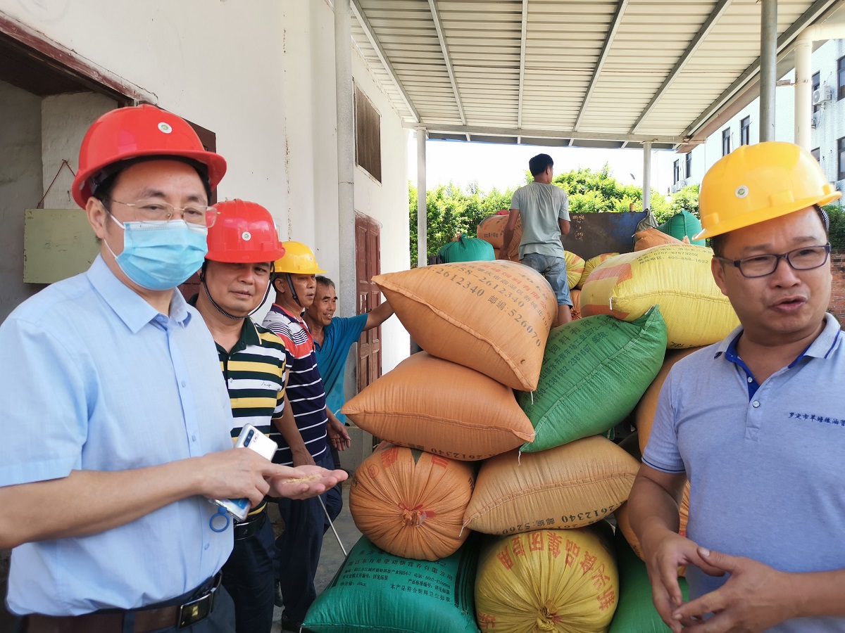 省糧食和儲備局黨組成員、副局長吳津偉帶隊(duì)前往云浮羅定市督導(dǎo)調(diào)研9fb09211c3d24912b29c8e3ba4a67671.jpg